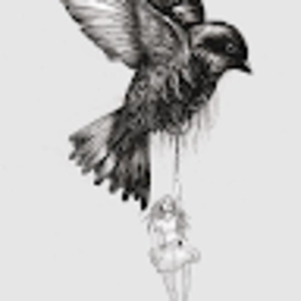 Meet your Posher, Aimster